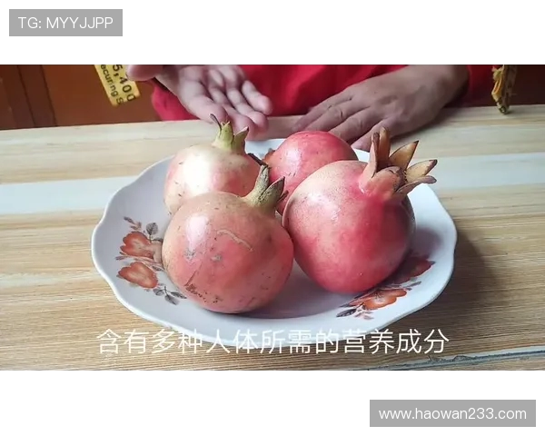 职业选手的饮食禁忌与每日营养摄入